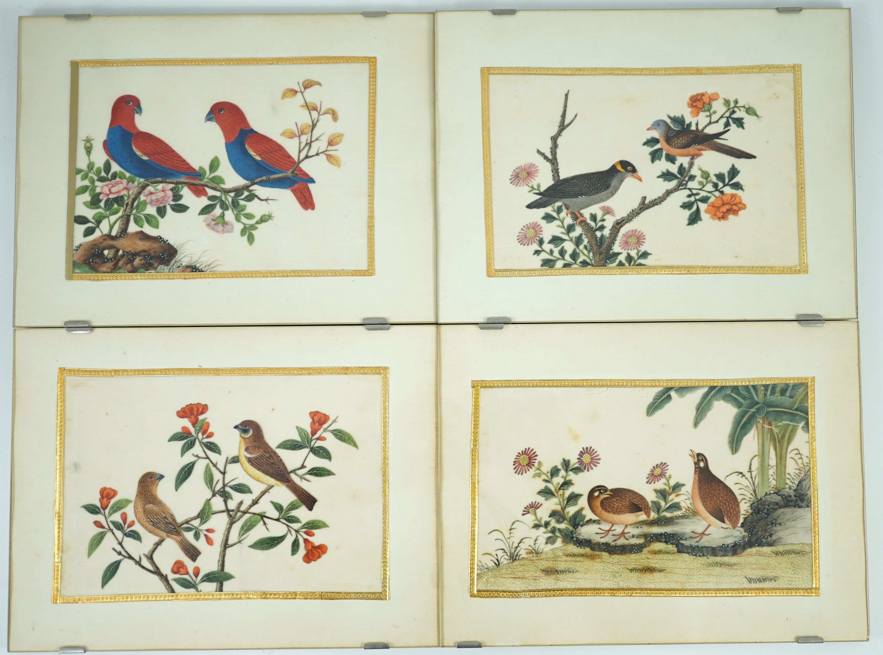 A set of 16 Chinese pith paintings of birds and flowers, mid 19th century, Largest Image 12cm x 18cm